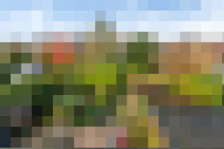Belvedère 6 Hoofddorp thumbnail 48