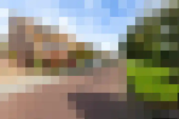 Belvedère 6 Hoofddorp thumbnail 6