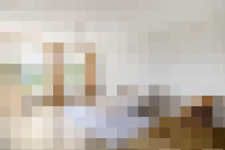 Belvédèrebos 102 Zoetermeer thumbnail 10
