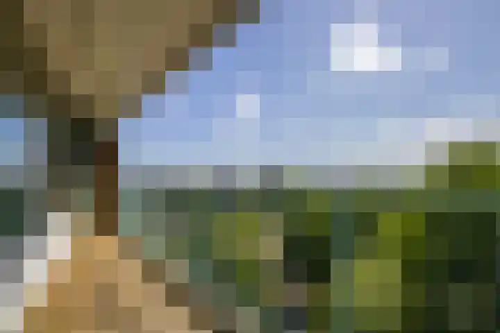 Belvédèrebos 102 Zoetermeer thumbnail 14