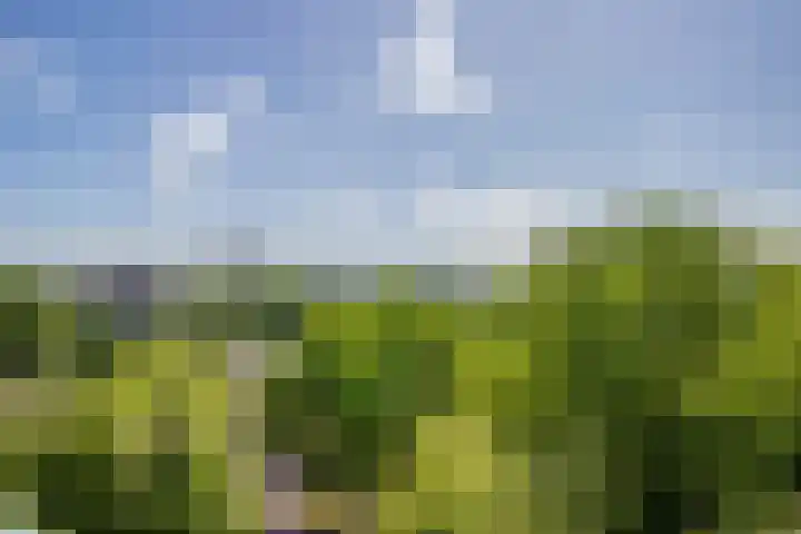 Belvédèrebos 102 Zoetermeer thumbnail 15