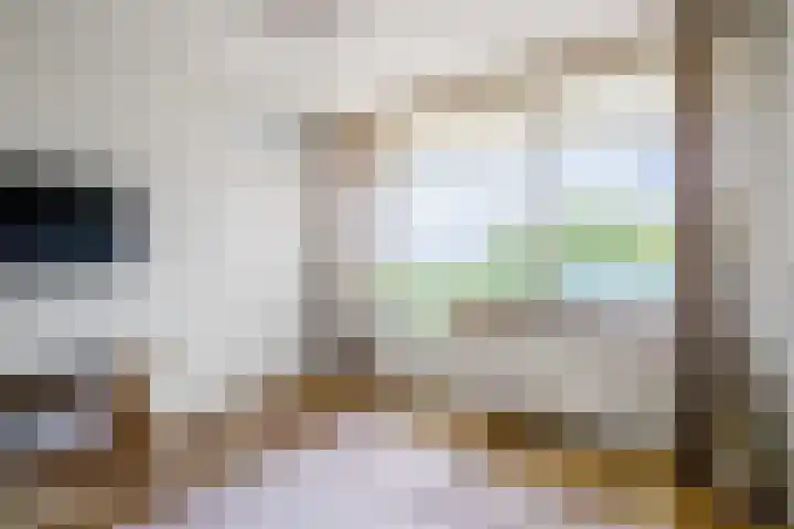 Belvédèrebos 102 Zoetermeer thumbnail 21