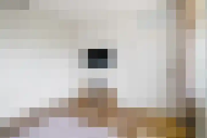 Belvédèrebos 102 Zoetermeer thumbnail 22