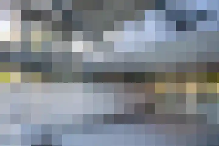 Belvédèrebos 102 Zoetermeer thumbnail 33
