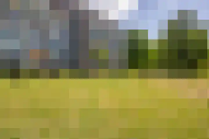 Belvédèrebos 102 Zoetermeer thumbnail 34
