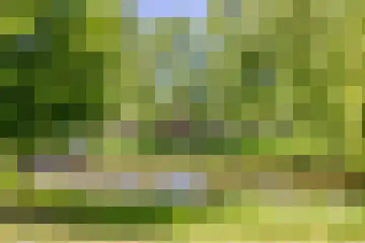 Belvédèrebos 102 Zoetermeer thumbnail 35