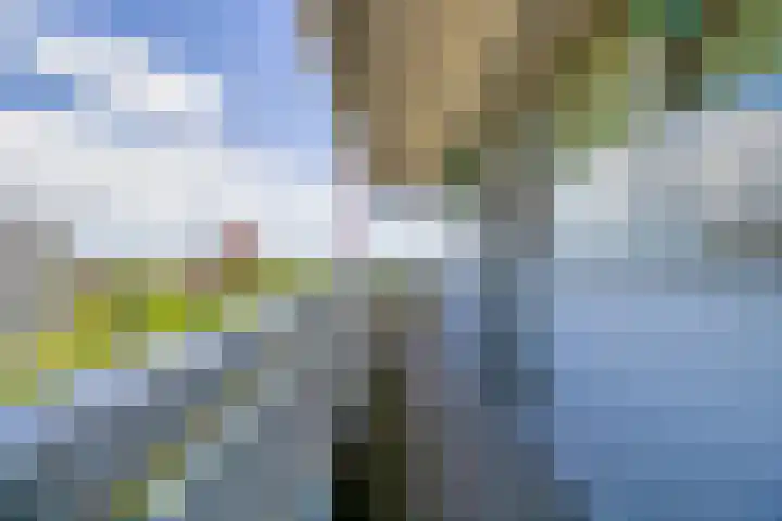 Belvédèrebos 102 Zoetermeer thumbnail 6