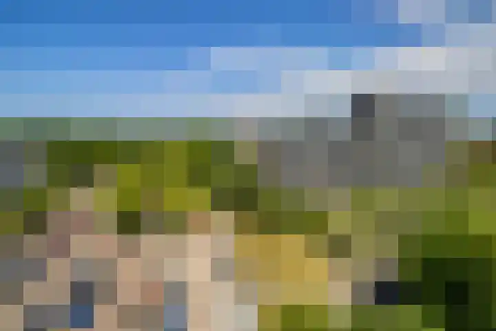 Belvédèrebos 102 Zoetermeer thumbnail 7