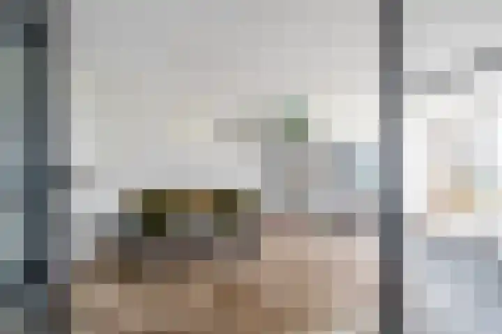 Belvédèrebos 102 Zoetermeer thumbnail 8