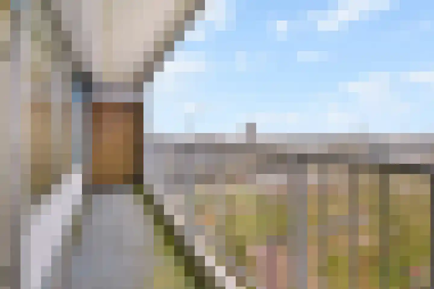 Belvédèrebos 110 Zoetermeer thumbnail 19