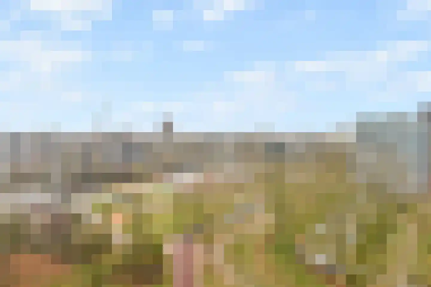 Belvédèrebos 110 Zoetermeer thumbnail 20
