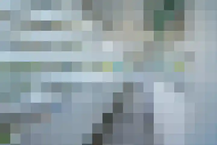 Belvédèrebos 138 Zoetermeer thumbnail 20