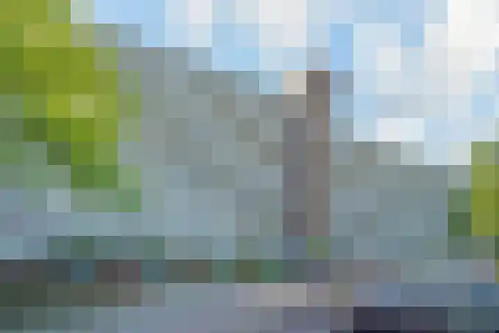 Belvédèrebos 138 Zoetermeer thumbnail 24