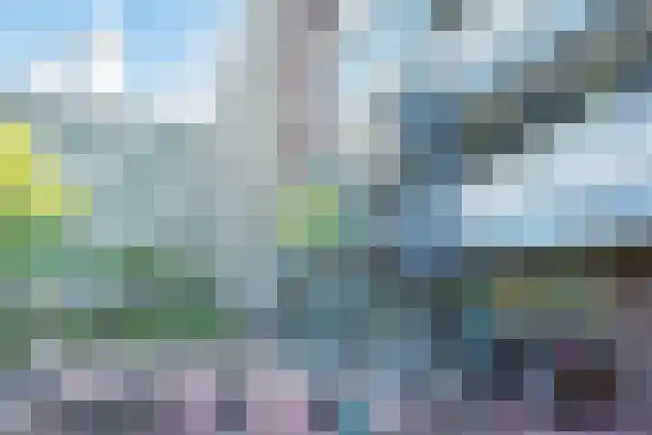 Belvédèrebos 138 Zoetermeer thumbnail 25