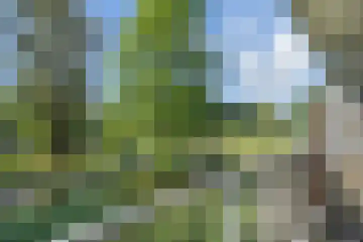 Belvédèrebos 138 Zoetermeer thumbnail 5