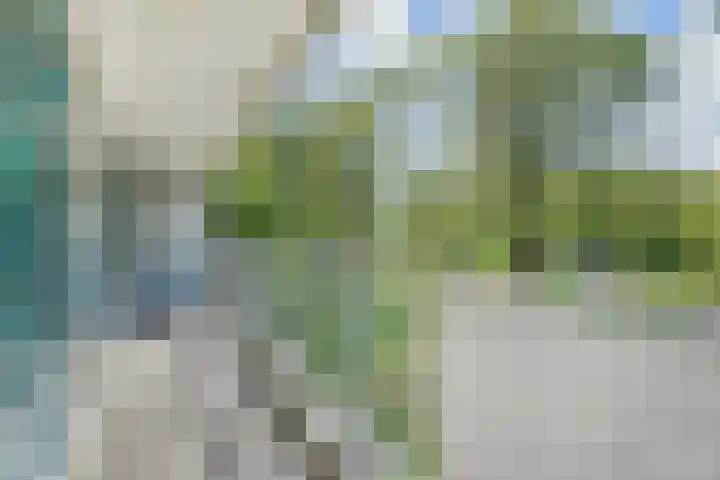 Belvédèrebos 138 Zoetermeer thumbnail 6