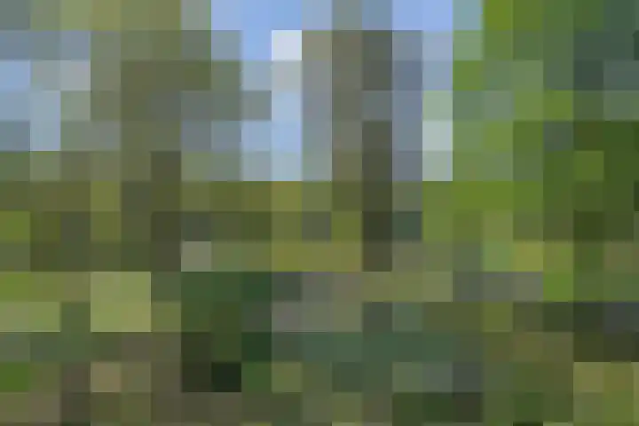 Belvédèrebos 138 Zoetermeer thumbnail 7