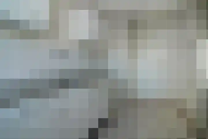 Belvédèrebos 138 Zoetermeer thumbnail 8