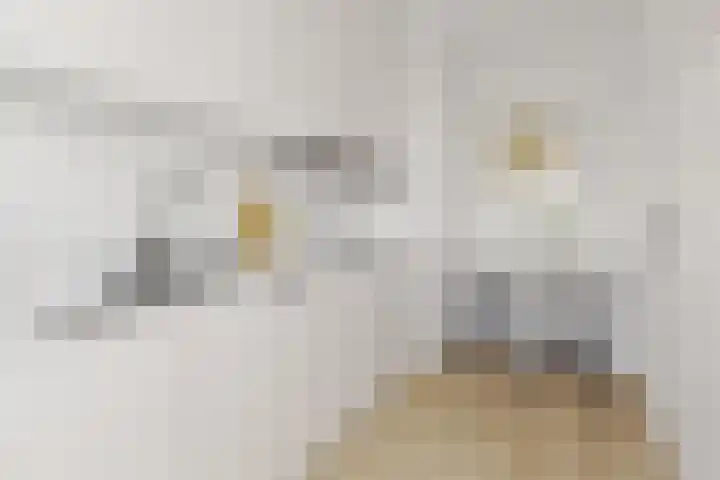 Belvédèrebos 138 Zoetermeer thumbnail 9