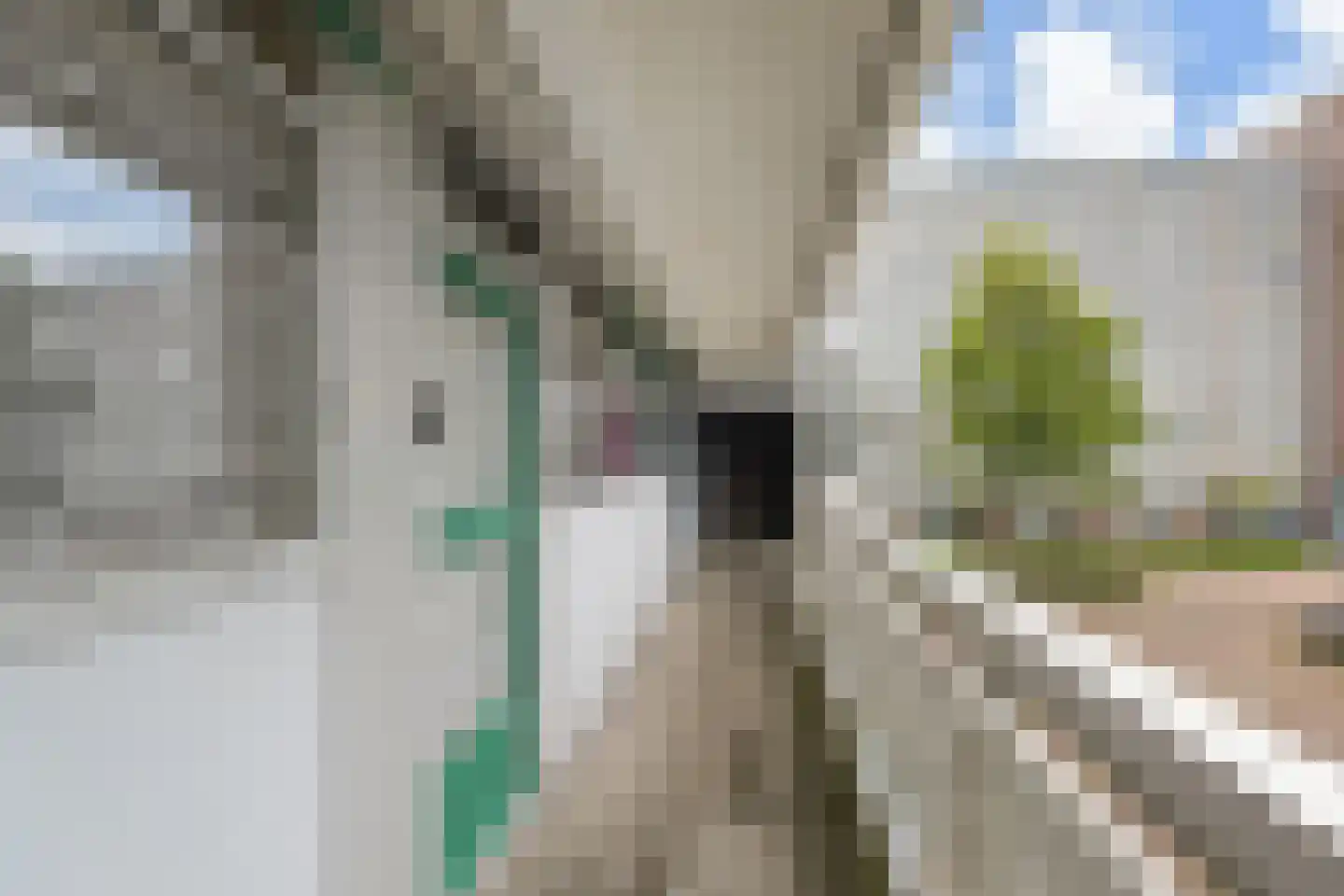 Belvédèrebos 15 Zoetermeer thumbnail 10