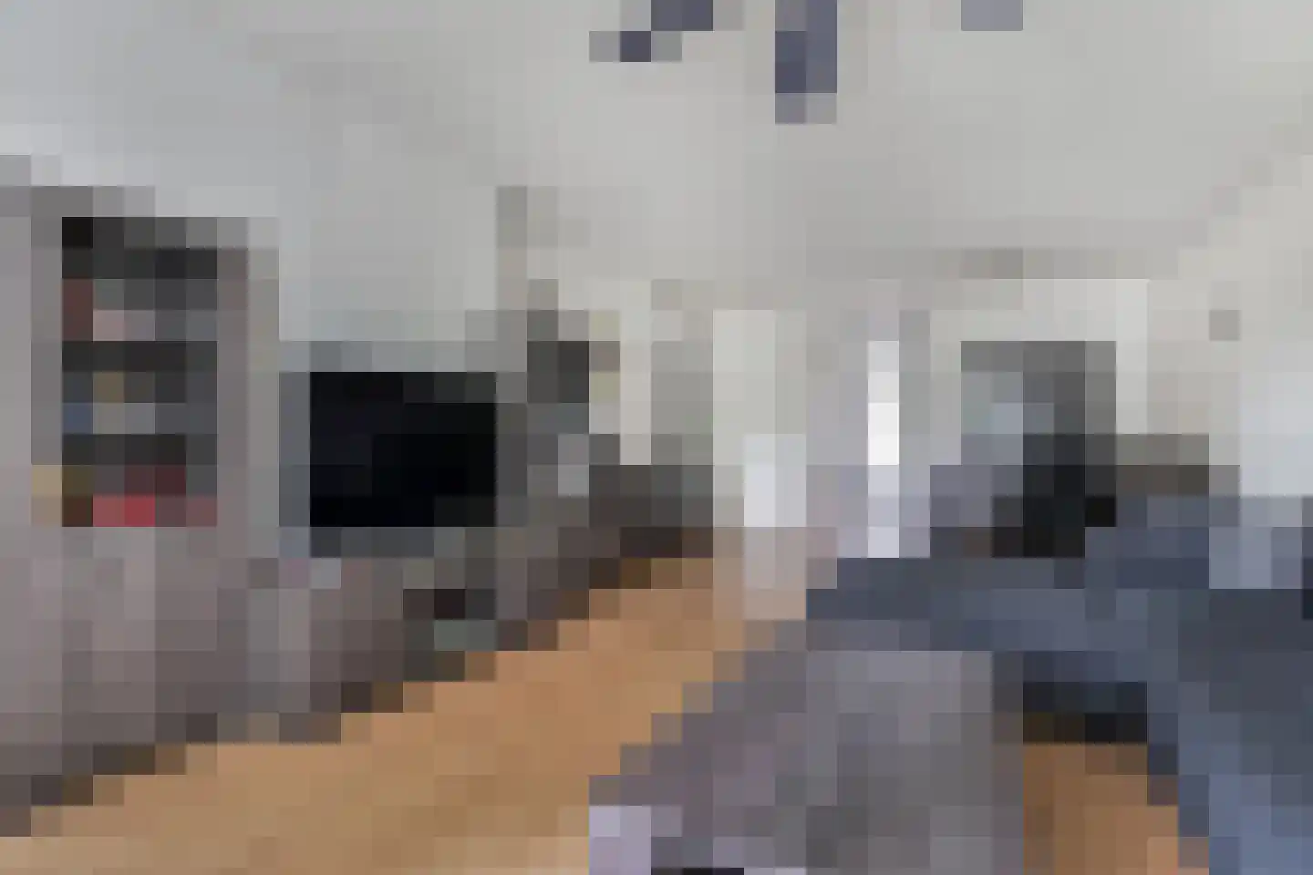 Belvédèrebos 15 Zoetermeer thumbnail 16