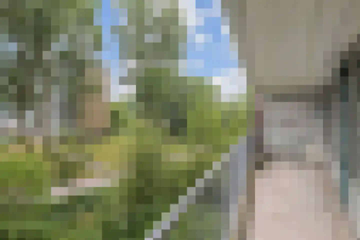 Belvédèrebos 15 Zoetermeer thumbnail 21