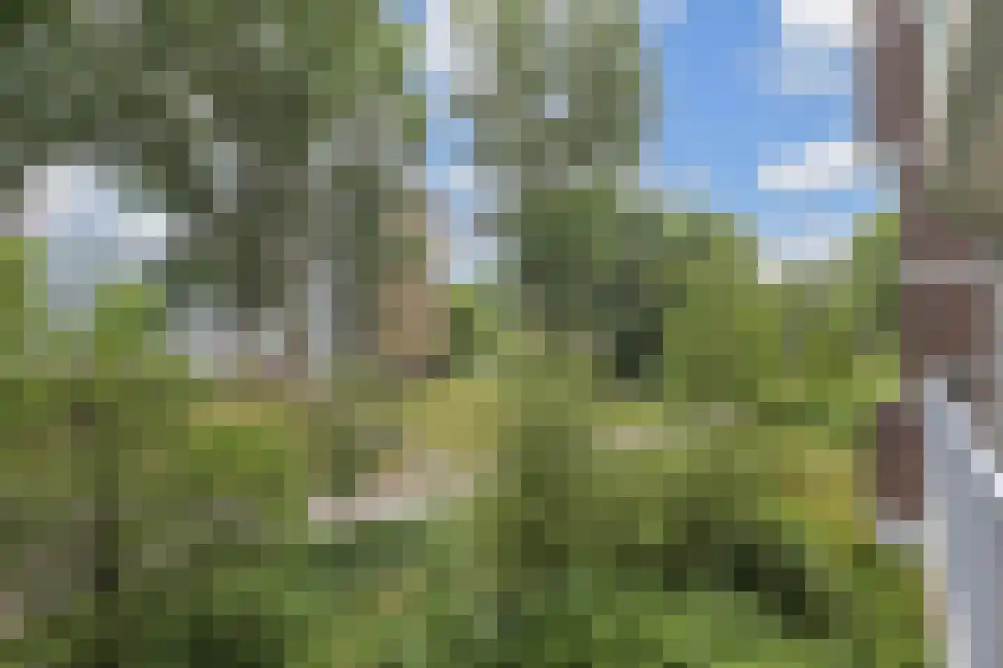 Belvédèrebos 15 Zoetermeer thumbnail 22