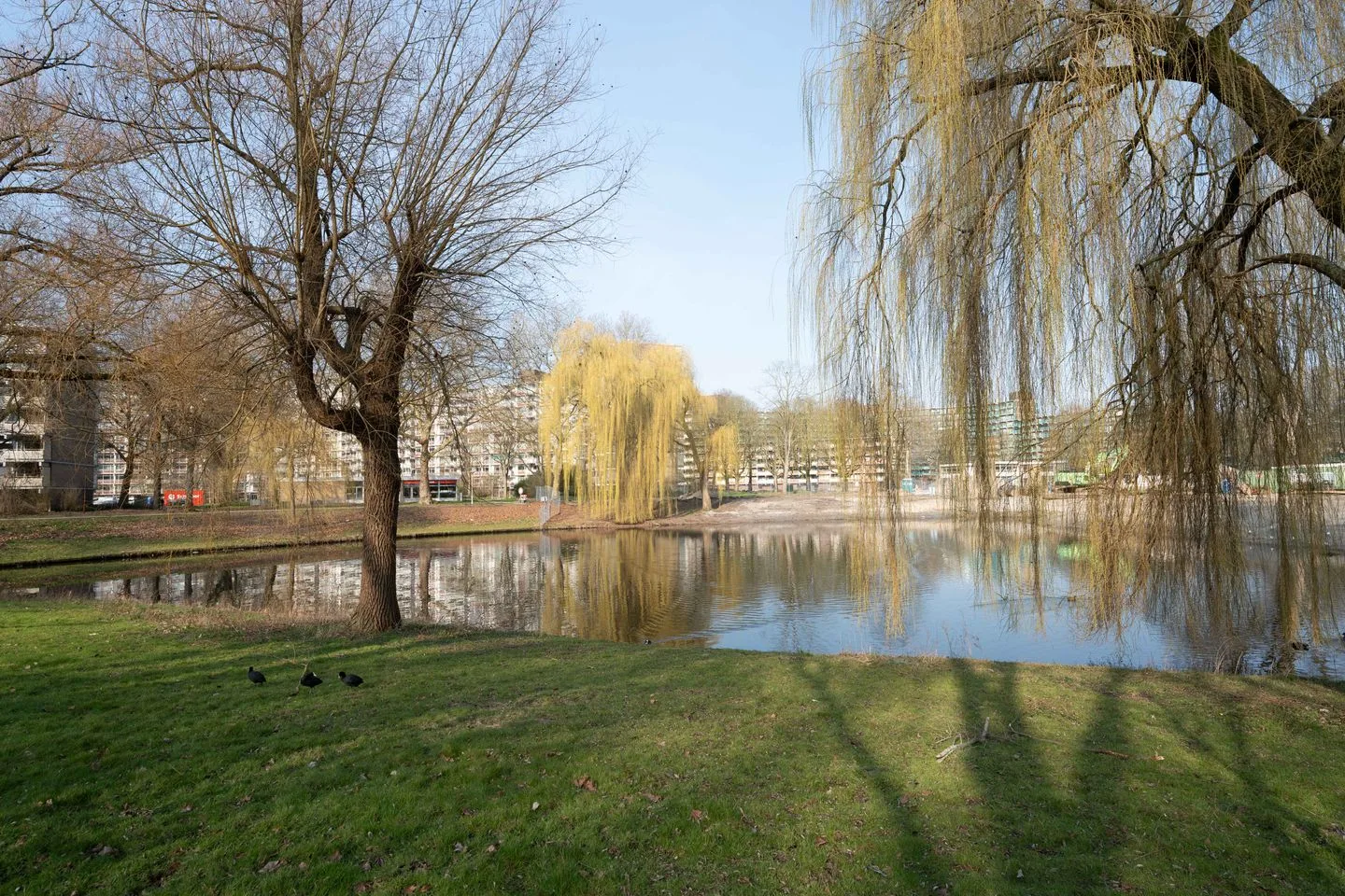 Belvédèrebos 151 Zoetermeer thumbnail 38