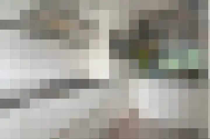 Belvédèrebos 166 Zoetermeer thumbnail 14
