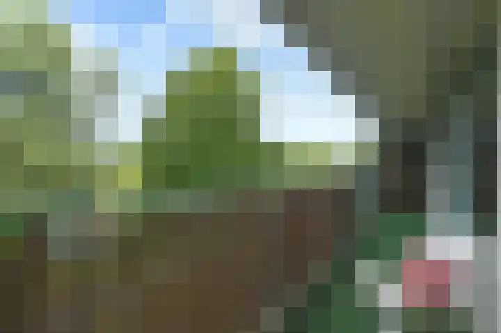 Belvédèrebos 166 Zoetermeer thumbnail 26