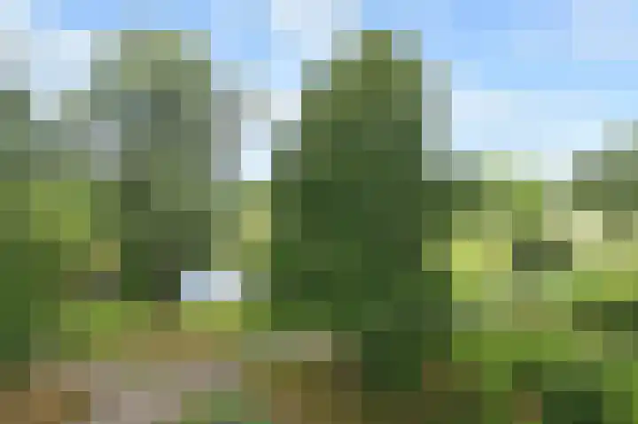 Belvédèrebos 166 Zoetermeer thumbnail 28