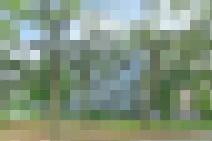Belvédèrebos 166 Zoetermeer thumbnail 6