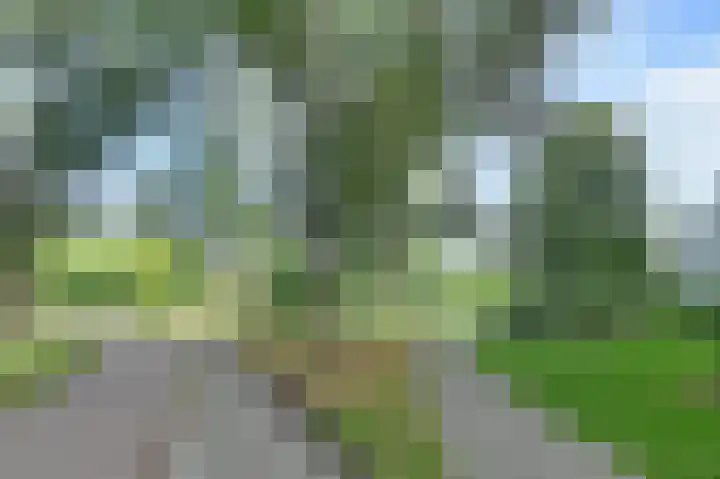 Belvédèrebos 166 Zoetermeer thumbnail 7