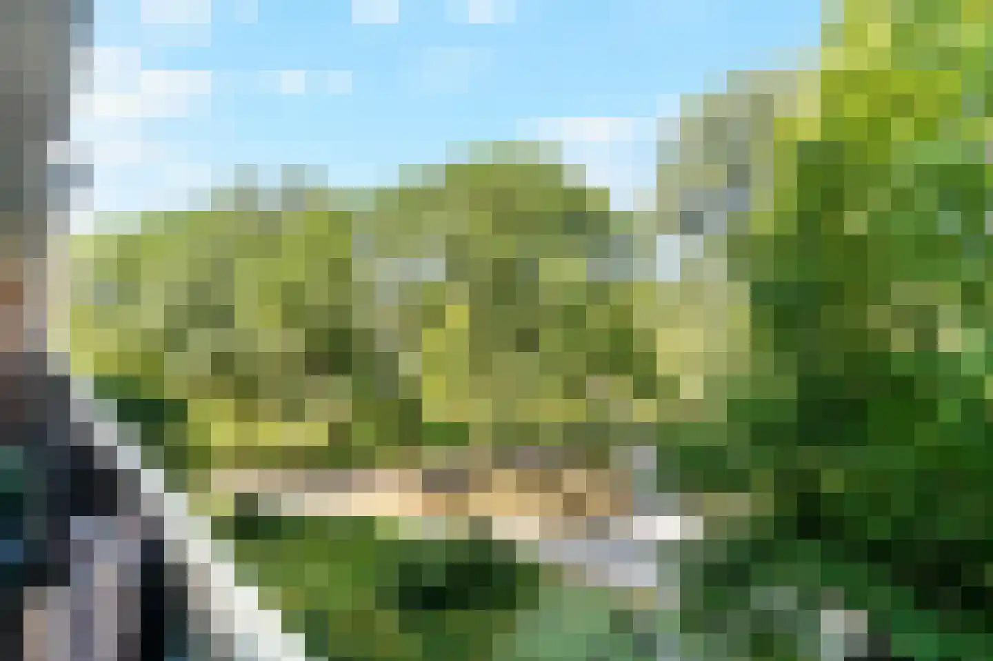 Belvédèrebos 168 Zoetermeer thumbnail 16