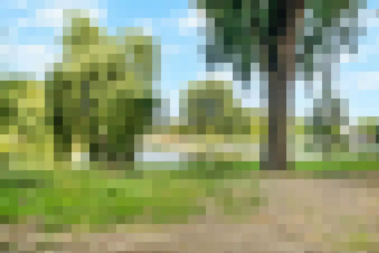 Belvédèrebos 168 Zoetermeer thumbnail 36