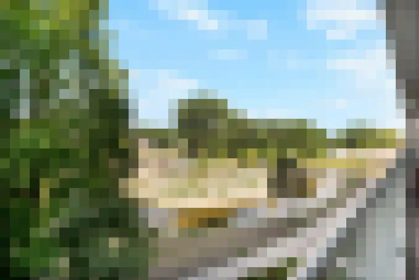 Belvédèrebos 168 Zoetermeer thumbnail 6