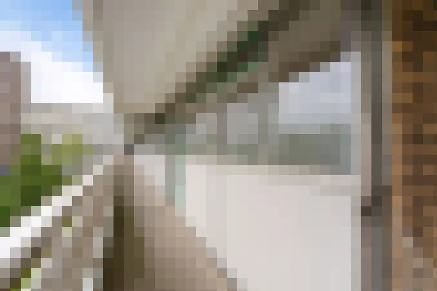 Belvédèrebos 178 Zoetermeer thumbnail 15