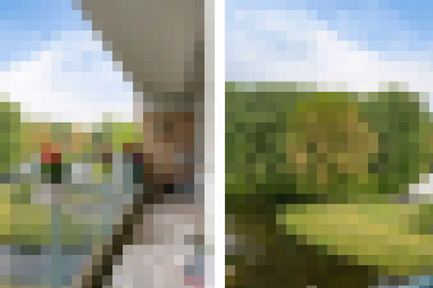 Belvédèrebos 178 Zoetermeer thumbnail 37