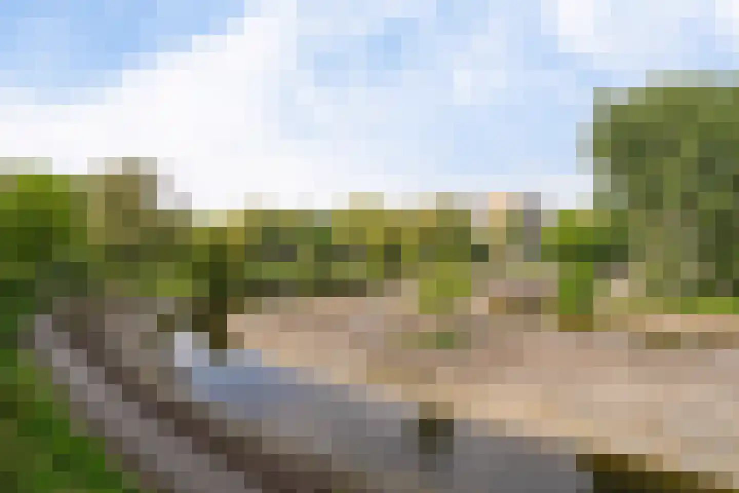 Belvédèrebos 178 Zoetermeer thumbnail 41