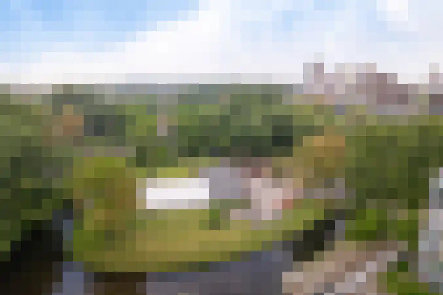Belvédèrebos 178 Zoetermeer thumbnail 43
