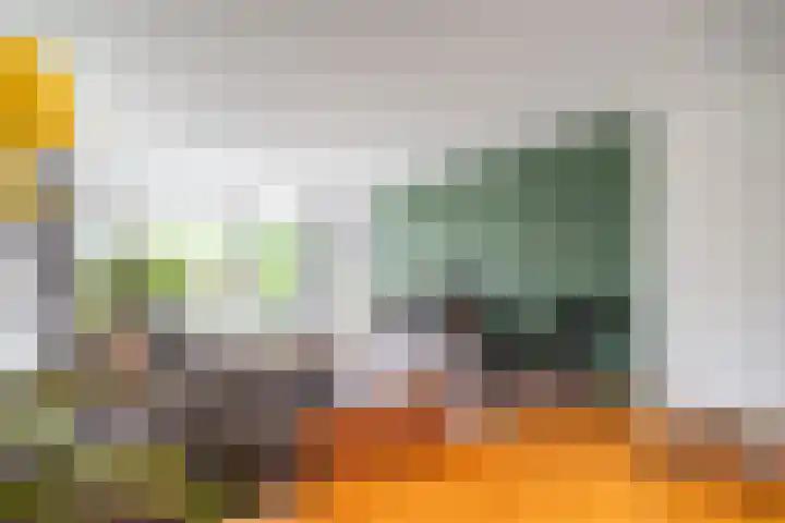 Belvédèrebos 181 Zoetermeer thumbnail 13