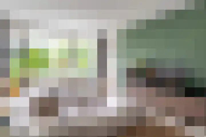 Belvédèrebos 181 Zoetermeer thumbnail 14