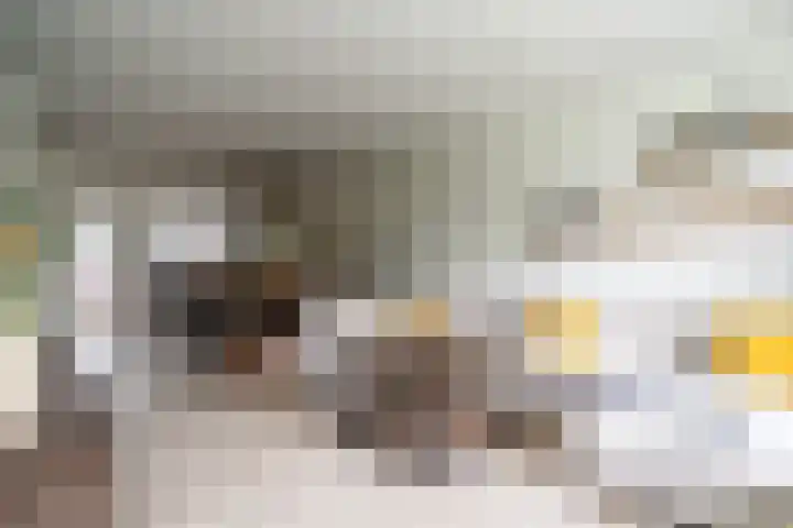 Belvédèrebos 181 Zoetermeer thumbnail 17