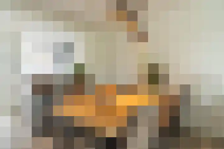 Belvédèrebos 181 Zoetermeer thumbnail 19