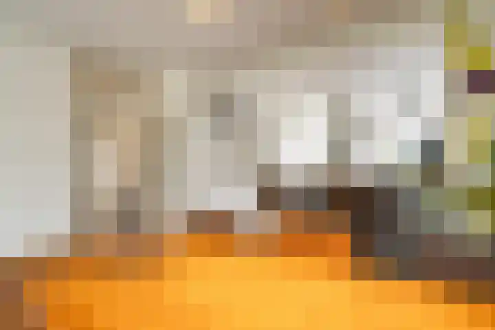 Belvédèrebos 181 Zoetermeer thumbnail 20