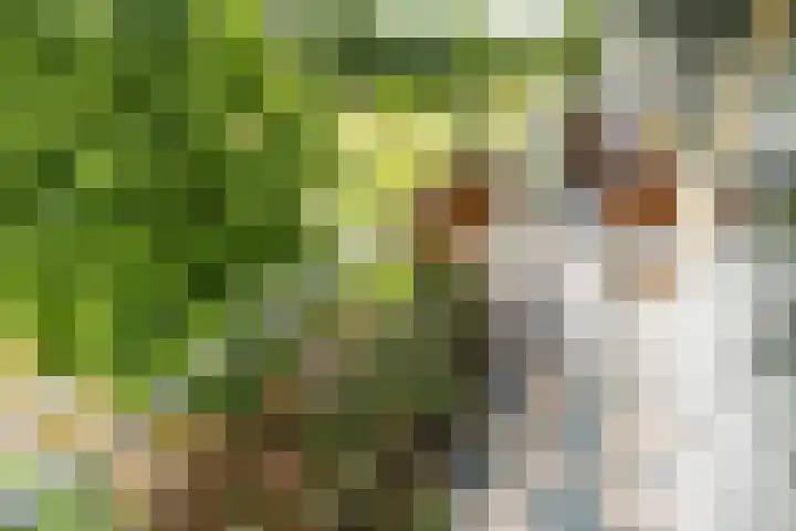 Belvédèrebos 181 Zoetermeer thumbnail 23