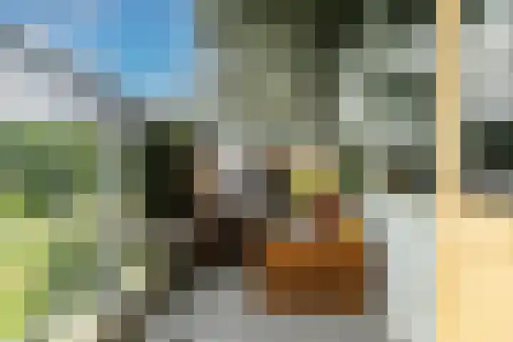 Belvédèrebos 181 Zoetermeer thumbnail 24