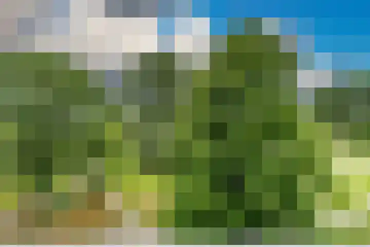 Belvédèrebos 181 Zoetermeer thumbnail 25
