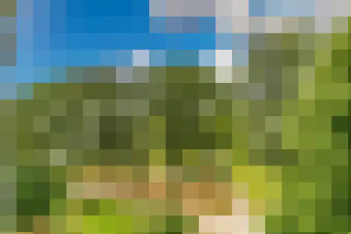 Belvédèrebos 181 Zoetermeer thumbnail 26