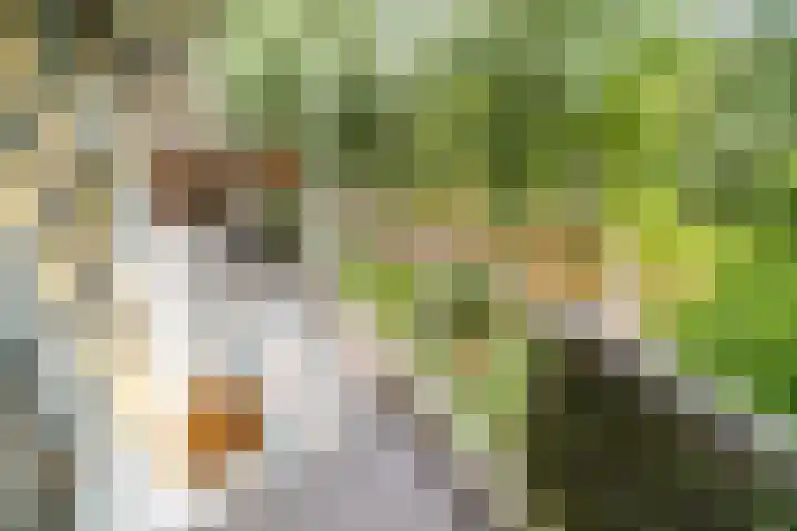 Belvédèrebos 181 Zoetermeer thumbnail 27